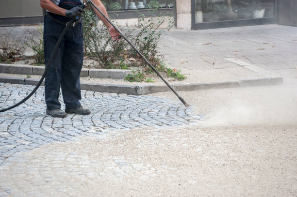 Best Fence Cleaning  in Mansura, LA